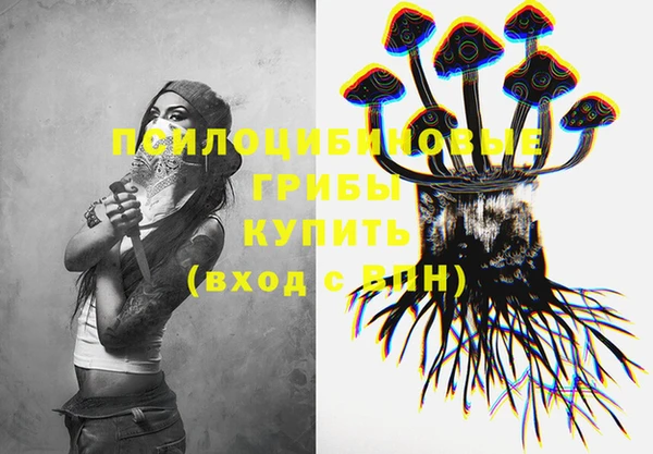 экстази Гатчина