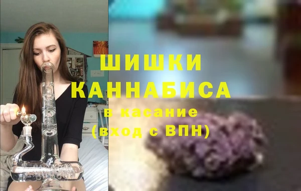 дмт Гвардейск