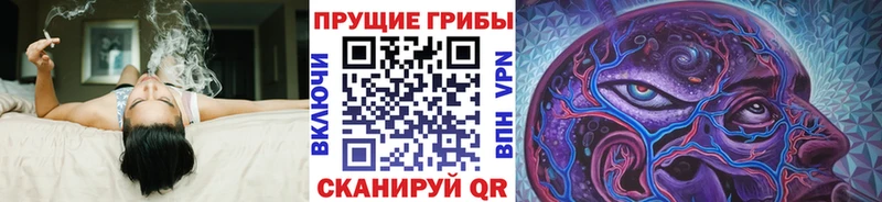Галлюциногенные грибы MAGIC MUSHROOMS  что такое наркотик  Томари 